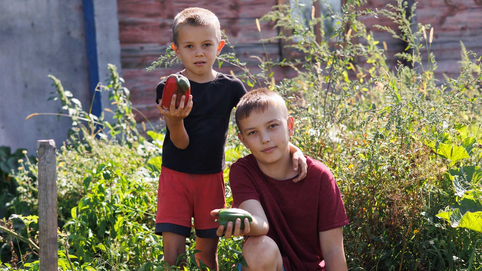 Two children pick produce from their garden.