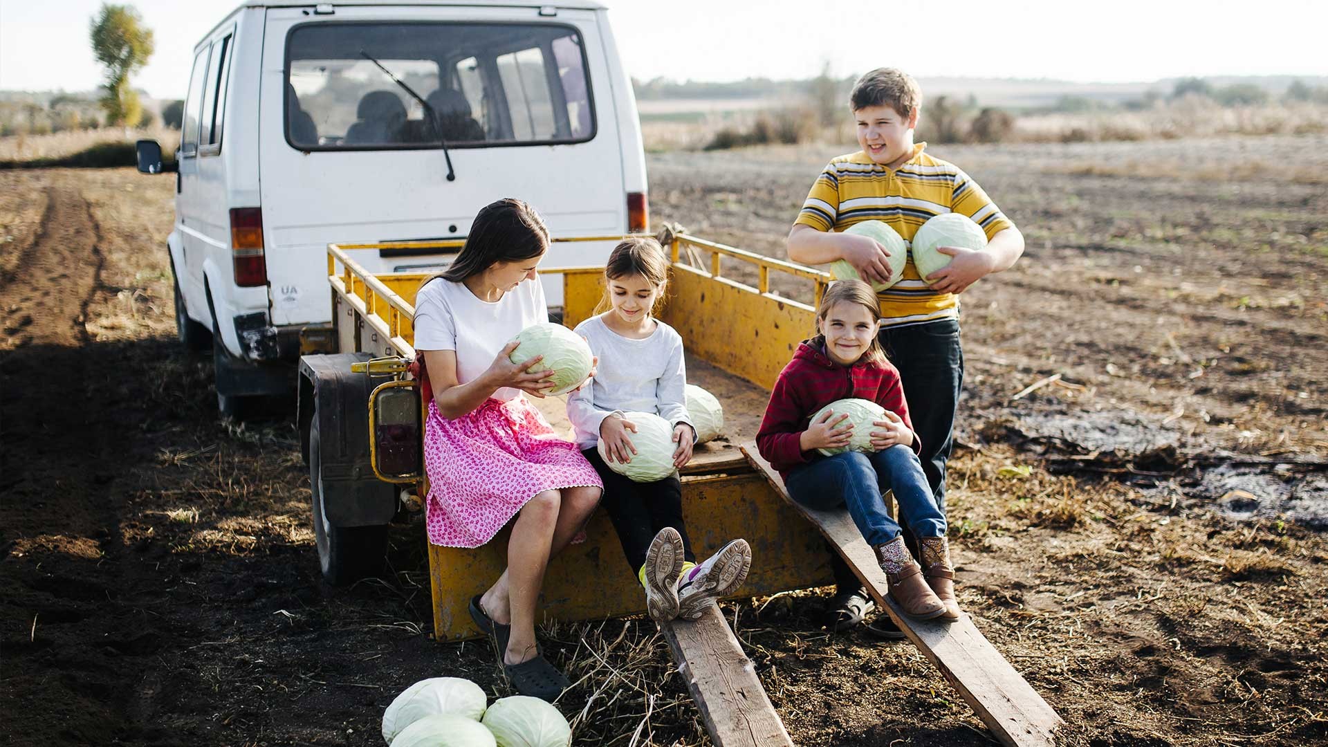 Children help with the harvest.